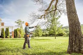 Best Landscape Design and Installation  in Fruitdale, CA