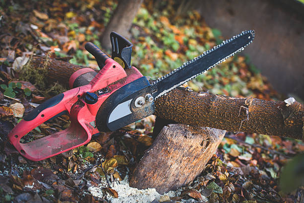 Best Aeration Services  in Fruitdale, CA